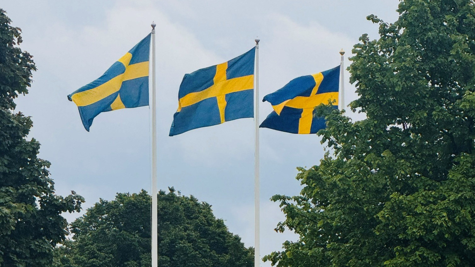 Tre Svenska flaggor i rad